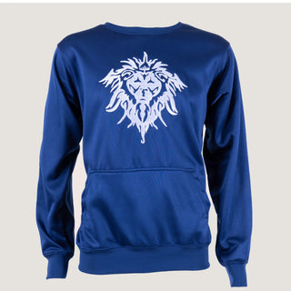 BOYS LION SWEATER