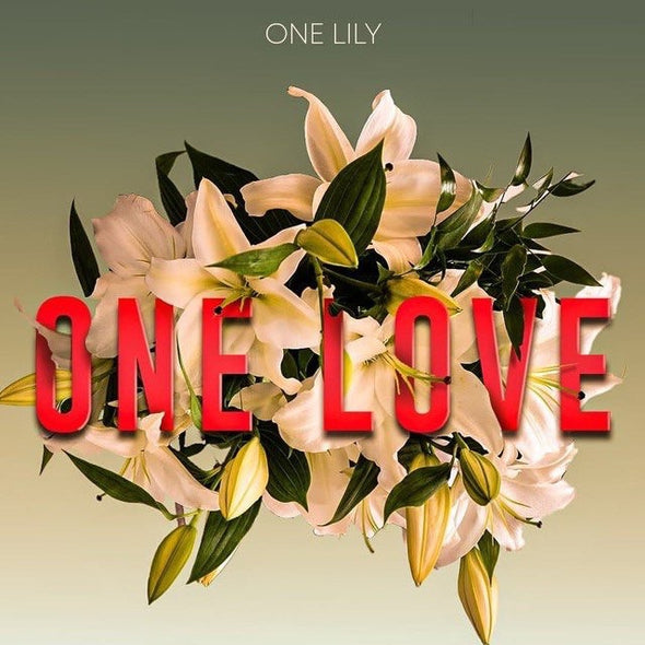 One Lily - One Love (MP3)