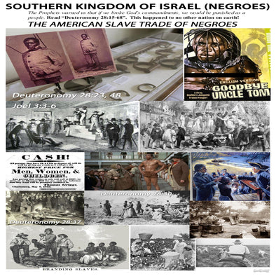 SOUTHERN KING OF ISRAEL "NEGROES" CAMP SIGN