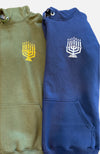 ISRAEL EMBROIDERED PULLOVER HOODED SWEATSHIRT